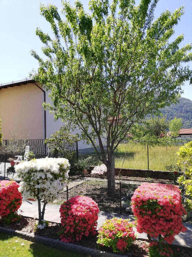 La Rosa Rossa Apartment Cambiasca Екстериор снимка